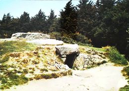 CPSM  Carnac Locmariaquer  Table Des Marchands - Dolmen & Menhirs