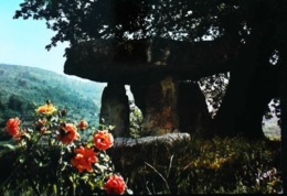 CPSM  Draguignan  La Pierre De La Fée   Dolmen - Dolmen & Menhirs