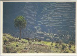 CHIJERÉ, Barranco De Chijeré, LA GOMERA   Nice Stamp, Bonito Sello Con Auto - Gomera