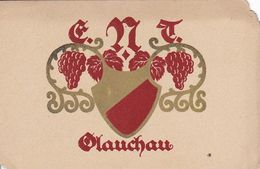 AK Glauchau - Wappen E.N.T. Glauchau - Trauben - Ca. 1920  (51550) - Glauchau