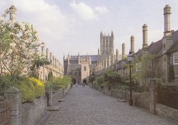 Postcard Vicars Close Wells Somerset Oldest Complete Street In Europe My Ref B24433 - Wells