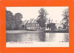 Château De Jodoigne-Souveraine  -  2 Scans - Jodoigne