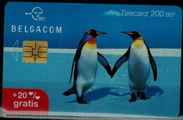 BELGIUM 2003 PHONECARD PINGUINS USED VF!! - Pinguine