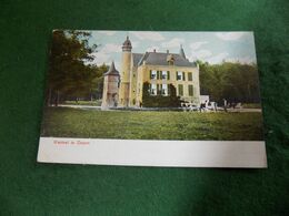 VINTAGE NETHERLANDS: DOORN Kasteel Tint Cattle DTCL - Doorn