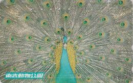 Télécarte JAPON / 110-011 - OISEAU - PAON / Parade Nuptiale - PEACOCK BIRD JAPAN Phonecard - PFAU Vogel - 5112 - Hoenderachtigen & Fazanten