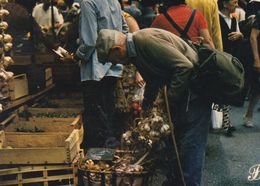 Cpm 10x15. PRESTIGE . CEVENNES   N° 07- P52 . Marché à L'ail - Fotografía