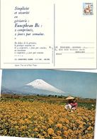 JAPON - PUBLICITE GERIATRIE - EUNEPHRAN B6   /2 - Pharmacy