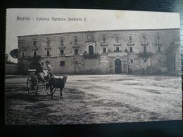 Andria Colonia Agricola Umberto 1° Usata 1911 - Andria