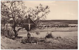 Satzung Erzgeb. - Das Hirtstein-Marteri - Marienberg