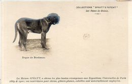 Collections "Spratt's Patent" Les Races De Chiens - Dogue De Bordeaux   (119828) - Perros