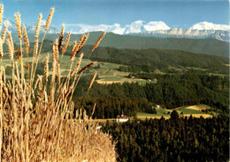 Ausblick Vom "Chuderhüsi" - Röthenbach I. E. Auf Würzbrunnen-Kirche (8313) - Röthenbach Im Emmental