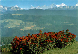 Kurhaus Chuderhüsi - Röthenbach I. Emmental - Blick Auf Finsteraarhorn, Würzbrunnenkirche (02681) * 5. 5. 1989 - Röthenbach Im Emmental