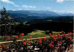 Kurhaus Chuderhüsi - Röthenbach I. Emmental (5159) - Röthenbach Im Emmental