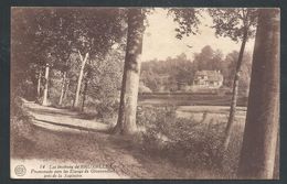 +++ CPA - Environs De Bruxelles - Promenade Vers Les Etangs De GROENENDAEL Près De La Sapinière   // - Hoeilaart