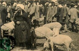 Josselin * Un Coin Du Champ De Foire * Marché Aux Cochons * Porcs * Coiffe Coiffes Bretagne Morbihan Bretonnes - Josselin