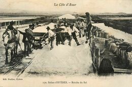 Salins D'hyères * Récole Du Sel - Hyeres