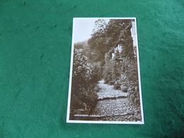 VINTAGE UK NORTH DEVON: CLOVELLY Reading Rooms Sepia Valentines - Clovelly