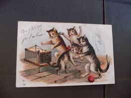 CPA Chat Cat  Humanisé 1905 Gaufrée N°750 - Katzen