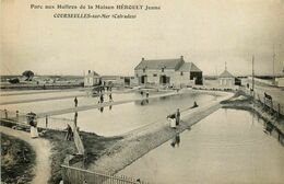 Courseulles Sur Mer * Parc à Huîtres De La Maison HEROULT Jeune * Ostréiculture - Courseulles-sur-Mer