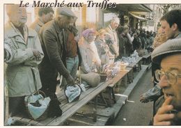 Cpm 10x15. Le Marché Aux Truffes - Paesani