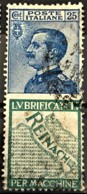 ITALY / ITALIA 1924/25 - Canceled - Sc# 100f - Advertising Stamp / Francobollo Pubblicitario 25c - Reinach - Ongebruikt
