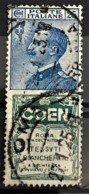 ITALY / ITALIA 1924/25 - Canceled - Sc# 100d - Advertising Stamp / Francobollo Pubblicitario 15c - Coen - Nuevos