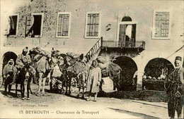 LIBAN - Carte Postale - Beyrouth - Chameaux De Transport - L 66962 - Liban