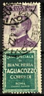 ITALY / ITALIA 1924/25 - Canceled - Sc# 105i - Advertising Stamp / Francobollo Pubblicitario 50c - Tagliacozzo - Ungebraucht