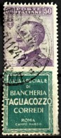 ITALY / ITALIA 1924/25 - Canceled - Sc# 105i - Advertising Stamp / Francobollo Pubblicitario 50c - Tagliacozzo - Nuevos