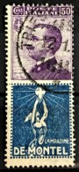 ITALY / ITALIA 1924/25 - Canceled - Sc# 105d - Advertising Stamp / Francobollo Pubblicitario 50c - De Montel - Ungebraucht