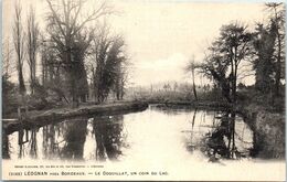 33 LEOGNAN - Le Coquillat, Un Coin Du Lac   * - Lesparre Medoc