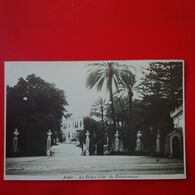 CARTE PHOTO ALGER LE PALAIS D ETE DU GOUVERNEUR - Algiers