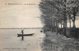 BOUAYE      LAC DE GRAND LIEU - Bouaye