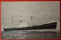 HOLLAND - AMERICA LINE , S.S. ANDYK - Steamers