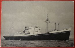 HOLLAND - AMERICA LINE , S.S. DONGEDYK - Steamers
