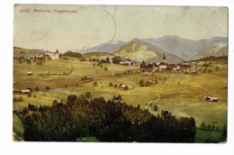 4889 - Hemberg ( Toggenburg) - Vue Générale - Circulé 1908, Timbre Décollé, Colorisée - Hemberg