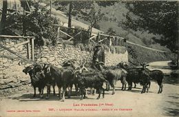 Luchon * Retour Du Chevrier * Berger Troupeau Type Personnage * Vallée D'oueil - Luchon