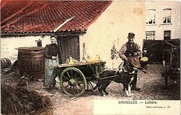 BELGIQUE - BRUXELLES - Lauitière - Old Professions