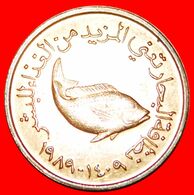 · FISH FAO: UNITED ARAB EMIRATES ★ 5 FILS 1409 - 1989 MINT LUSTER! LOW START ★ NO RESERVE! - Emirati Arabi