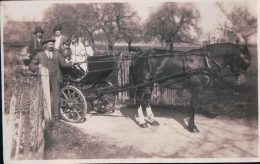 St Prex ?, Attelage D'un Cheval, Départ En Famille (21920) Plis - Saint-Prex