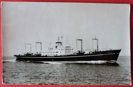 M.V. SETA MARU - Dampfer