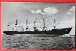 M.V. AMERSFOORT - ROYAL NETHERLANDS STEAMSHIP CO. - Steamers