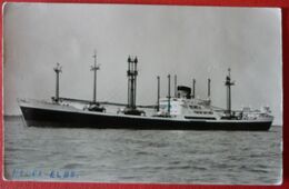 M.V. NEDER ELBE - NEDERLAND NV STOOMVAART MAATSCHAPPIJ , S.M.N. - Steamers