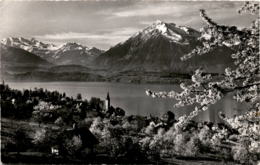 Hilterfingen Am Thunersee, Blümlisalp - Niesen (2785) * 26. 3. 1962 - Hilterfingen