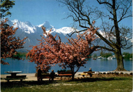 Hilterfingen Am Thunersee - Stockhornkette (11773) - Hilterfingen