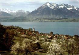 Hilterfingen Am Thunersee - Blüemlisalp - Niesen (8762) * 23. 4. 1975 - Hilterfingen