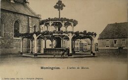Momignies L' Arbre De Macon Ca 1900 - Momignies