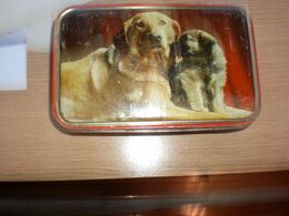 Old Tin Box Made In England By Edward Sharp Sons LTD Maidstone Kent Dogs - Boîtes/Coffrets