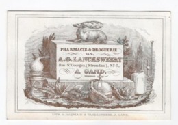 1 Carte Porcelaine  Pharmacie & Droguerie A.Lancksweert Rue St.George Steendam Gand Lith.Vande Steene Afm.:12x8cm - Porcelaine