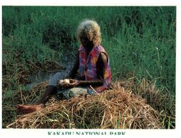 (I 23/A) Australia - Aborigene Lady Cookin Crocodile Egss (Kakadu NP) (NTS298) - Aborigines